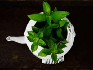 uma chaleira com hortelã pimenta peppermint