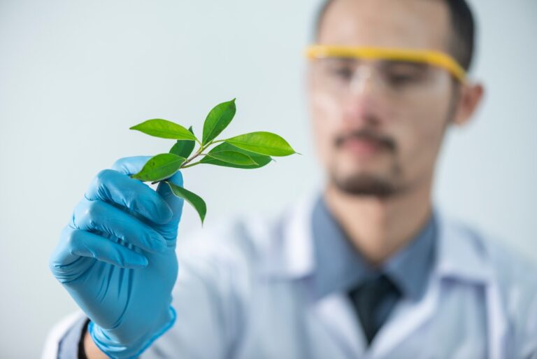 cientista estuda planta aromática