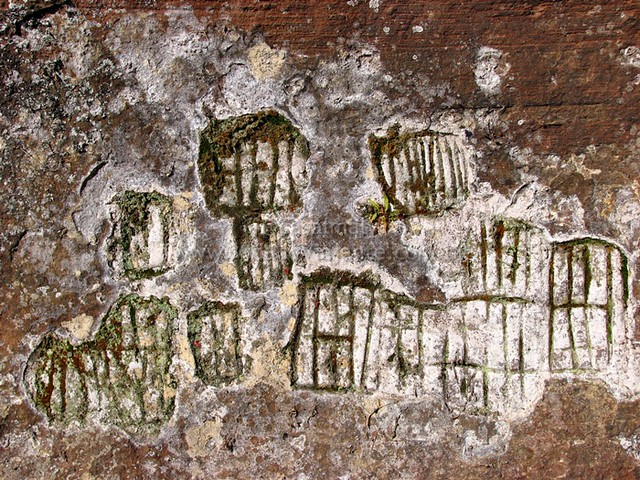 parede decorada com escritas rudimentares dos povos da antiguidade que foram precursores do uso de plantas e óleos essenciais para cura e outros fins